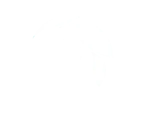 Logo Branco - I9transportes